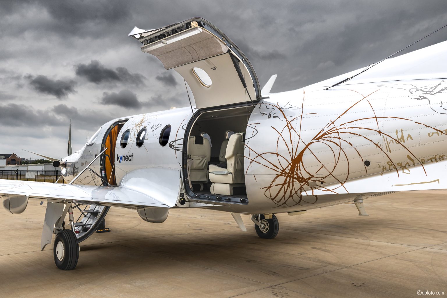 Cargo Door