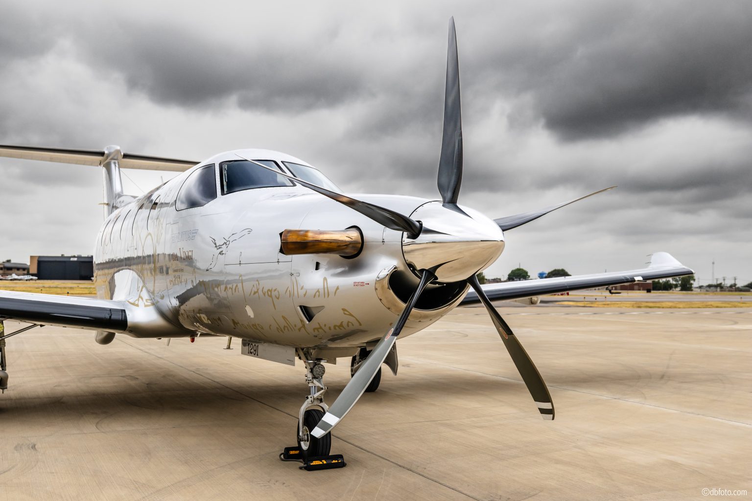 Nose Art